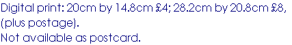wp39448052.png