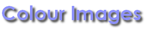 wp61282fc8.png
