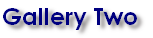 wpb82f2d5f.png